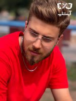 عینک طبی cearly basics مدل 1001 Weyburn Matte Silver - Image 2
