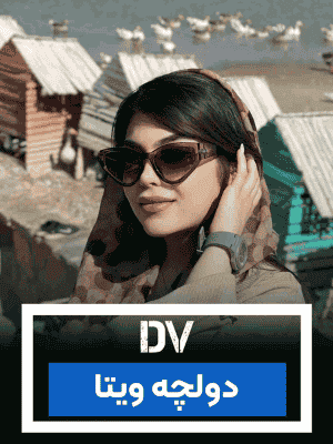 dv brand 2025040