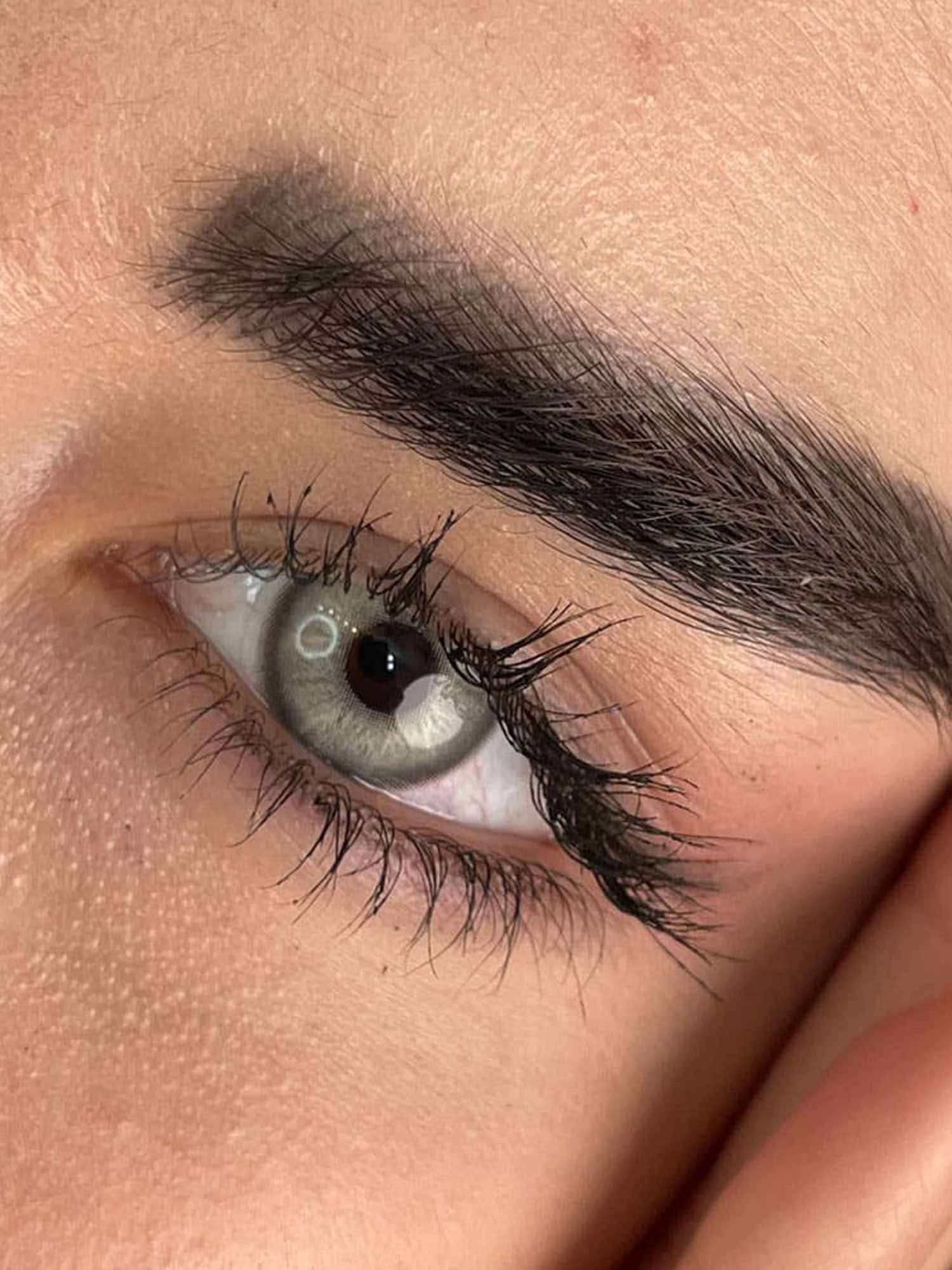 شاینی گری لنز طبی رنگی سالانه مارلی شاینی گری Marly shiny gray - Image 1